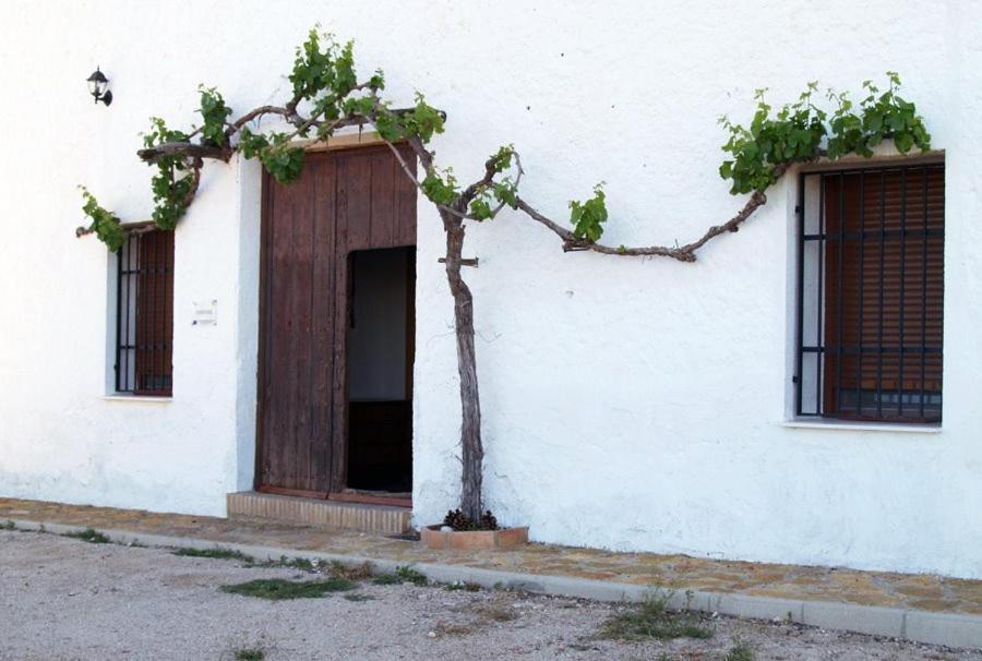 Casa Rural Casa Maxima Екла Номер фото